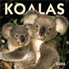 Koalas Wall Calendar: 2004