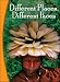 Book Different Places, Different Faces - Infosteps (B18)