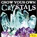 Grow Your Own Crystals by David Packard