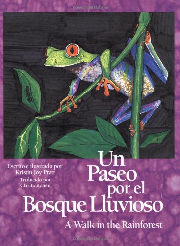 Un paseo por el bosque lluvioso