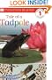 DK Readers: Tale of a Tadpole (Level 1: Beginning to Read)