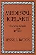 Medieval Iceland: Society, Sagas, and Power