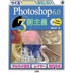 Photoshop 6.0 3����`
