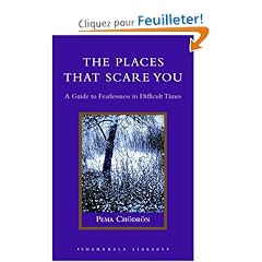The Places That Scare You: A Guide To Fearlessness In Difficult Times