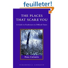 The Places That Scare You: A Guide To Fearlessness In Difficult Times