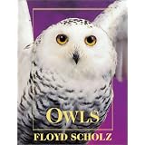 Owls