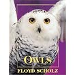 Owls ~ Floyd Scholz