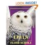 Owls