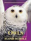 Owls