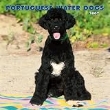 Portuguese Water Dogs 2007 Calendar