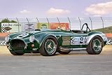 Revell AG Germany 1 24 Shelby Cobra 427 S C Car Model Kit - 07367