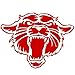 Sporting Goods : Cougar Head Temporary Tattoos Red