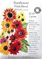 Heirloom Sunflower Seeds Flash Blend Certified Organic 85 Seeds