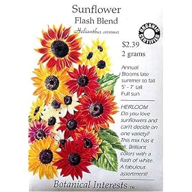 Heirloom Sunflower Seeds - Flash Blend Flower Seed Organic