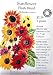 Outdoor Living : Heirloom Sunflower Seeds - Flash Blend Flower Seed Organic