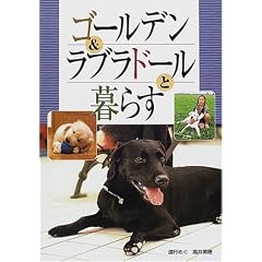 �S�[���f��&���u���h�[���ƕ�炷