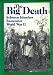 Books : The Big Death: Solomon Islanders Remember World War II (Bikfala Faet: Olketa Solomon Aelanda Rimembarem Wol Wo Tu)