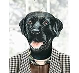 Dog Hangers, Set of 2