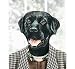 Dog Hangers, Set of 2