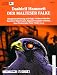 Der Malteser Falke. Audiobook. 2 Cassetten (Hörkassette)