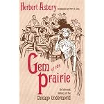 Gem of the Prairie: An Informal History of the Chicago Underworld book cover