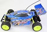 1:10ScaleOffRoadExtremeRacingBuggyTheRogsterBornToRaceElectricRTRRCBuggyRemoteControlBUGGYHighQuality(ColorsMayVary)