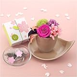 �y����J�Ԓd�z�v���U�[�u�h�A�����W�����g�u��������݂v�ƍ��Β��̃Z�b�g