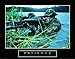 WallsThatSpeak 3 Military Motivational Posters Marine Sniper Picture, 8 by 10-Inch, Beige