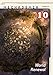 Mechademia 10: World Renewal (Mechamedia)