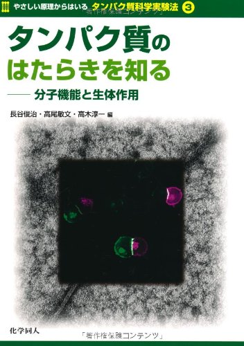 タンパク質のはたらきを知る―分子機能と生体作用 (やさしい原理からはいるタンパク質科学実験法)