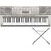 Musical Instruments : Casio LK270-STADMC Music Keyboard with Key Lighting