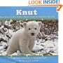 Knut: How One Little Polar Bear Captivated the World