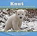 Knut: How One Little Polar Bear Captivated the World