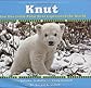 How One Little Polar Bear Captivated The World (Knut)