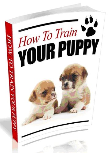 How to Train Your Puppy-how to train puppy