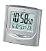 Casio Auto Calendar Thermometer Digital Travel Alarm Clock #DQ745-8