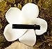 DreamLily Women's Fashion 3 Pcs Hawaiian White Plumeria Flower Foam Hair Clip Balaclavas for Beach