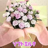�y���������z�y��̓��M�t�g�z�J�[�l�[�V���� �}�W�J���`���`�� �\�t�g�~���N �T�����A���y5/5~5/10�̊Ԃɂ��͂��z