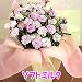 �y���������z�y��̓��M�t�g�z�J�[�l�[�V���� �}�W�J���`���`�� �\�t�g�~���N �T�����A���y5/5~5/10�̊Ԃɂ��͂��z