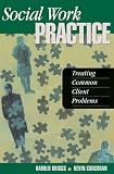 Social Work Practice: Treating Common Client Problems