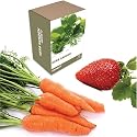 Grow Your Own Garden - Vegetable Patch