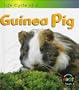 Guinea Pig (Life Cycle of A...)