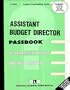 Assistant Budget Director