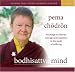 Search : Bodhisattva Mind: Teachings to Cultivate Courage and Awareness in the Midst of Suffering