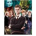 Visual Echo 3D Effect Harry Potter Collage 500pc Lenticular Puzzle