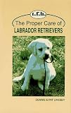 The Proper Care of Labrador Retrievers