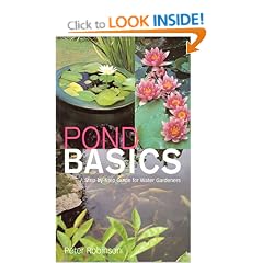 Pond Basics