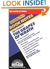Grapes of Wrath, The (Barron's Book Notes)
