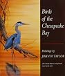 Birds of the Chesapeake Bay: Paintings by John W. Taylor, with Natural Histories and Journal Notes by the Artist