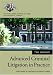 Book Advanced Criminal Litigation in Practice (Blackstone Bar Manual)